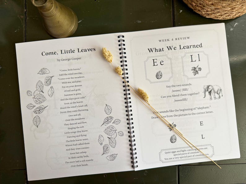 Letter Sounds Homeschool Curriculum, Foundations 1-5 Bundle, Christian Kindergarten Phonics, Science of Reading Early Literacy PRINTED image 15