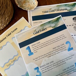 Peut inclure: Cartes &eacute;ducatives avec des illustrations &agrave; l'aquarelle et du texte sur les zones et les cr&eacute;atures des mar&eacute;es. Les cartes pr&eacute;sentent des titres tels que "Cr&eacute;atures de la zone intertidale" et "D&eacute;finition des termes de la mar&eacute;e". Un panier en osier et un coquillage sont en arri&egrave;re-plan.