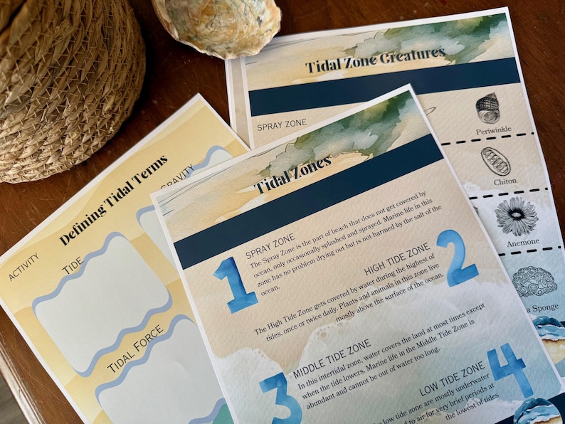 Peut inclure: Cartes &eacute;ducatives avec des illustrations &agrave; l'aquarelle et du texte sur les zones et les cr&eacute;atures des mar&eacute;es. Les cartes pr&eacute;sentent des titres tels que "Cr&eacute;atures de la zone intertidale" et "D&eacute;finition des termes de la mar&eacute;e". Un panier en osier et un coquillage sont en arri&egrave;re-plan.