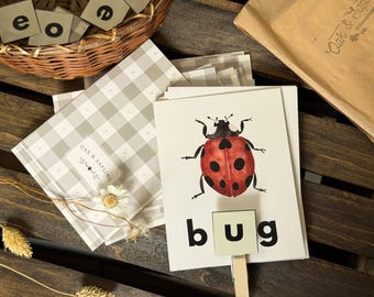 May include: A white educational card featuring a red ladybug illustration and the word bug printed in black. The card is held by a wooden clip and rests on a stack of gray and white checkered cards, with a wicker basket and paper bag nearby.
