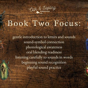 May include: A dark wood-textured educational poster titled Oak & Sapling Homeschool Co. Book Two Focus. It lists learning goals including gentle introduction to letters and sounds, sound-symbol connection, phonological awareness, and sound practice, surrounded by six colorful beetle illustrations.