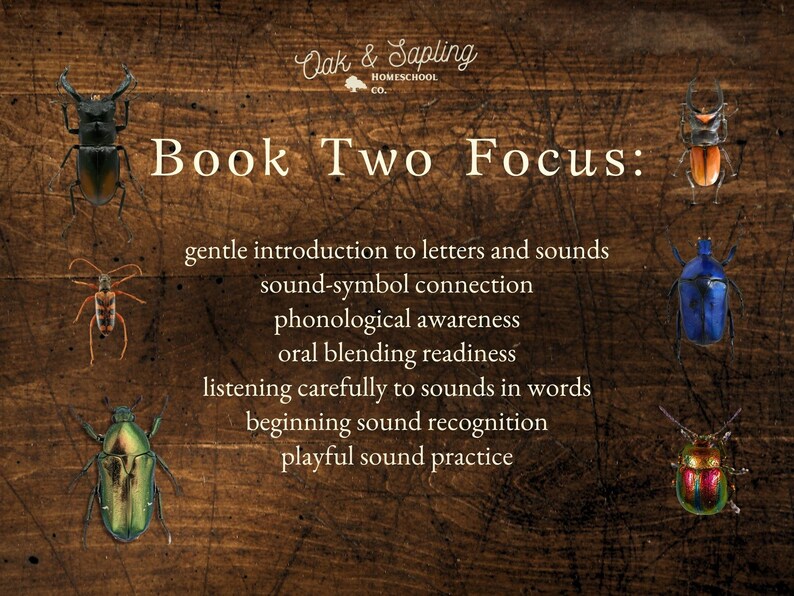 May include: A dark wood-textured educational poster titled Oak & Sapling Homeschool Co. Book Two Focus. It lists learning goals including gentle introduction to letters and sounds, sound-symbol connection, phonological awareness, and sound practice, surrounded by six colorful beetle illustrations.