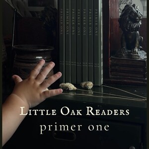 Puede incluir: Una colecci&oacute;n de seis libros id&eacute;nticos titulados Primer One, dispuestos verticalmente entre dos sujetalibros oscuros con forma de le&oacute;n. Los libros tienen lomos de color gris oscuro con texto en blanco. Dos tallos bot&aacute;nicos secos yacen horizontalmente.