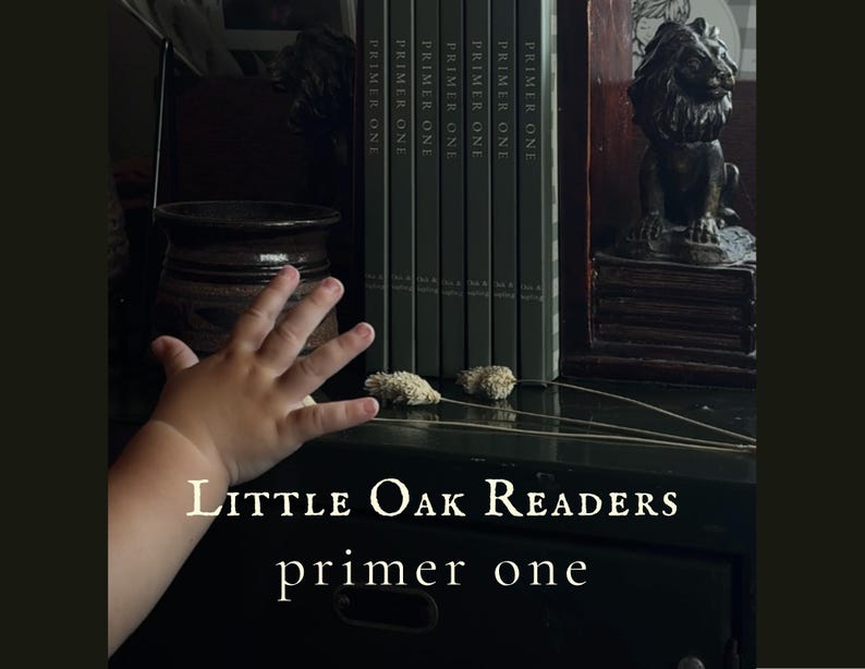Puede incluir: Una colecci&oacute;n de seis libros id&eacute;nticos titulados Primer One, dispuestos verticalmente entre dos sujetalibros oscuros con forma de le&oacute;n. Los libros tienen lomos de color gris oscuro con texto en blanco. Dos tallos bot&aacute;nicos secos yacen horizontalmente.