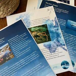 Peut inclure: Cartes &eacute;ducatives sur les zones oc&eacute;aniques, avec des images de la vie marine, dont un crabe et un requin. Les cartes d&eacute;crivent les zones intertidales, le plateau continental et les zones p&eacute;lagiques. Un panier en osier est visible.