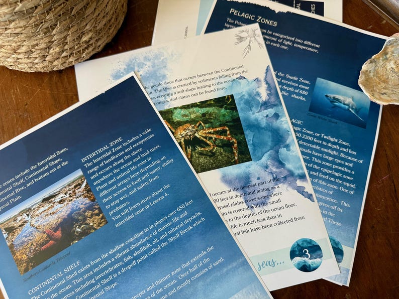 Peut inclure: Cartes &eacute;ducatives sur les zones oc&eacute;aniques, avec des images de la vie marine, dont un crabe et un requin. Les cartes d&eacute;crivent les zones intertidales, le plateau continental et les zones p&eacute;lagiques. Un panier en osier est visible.