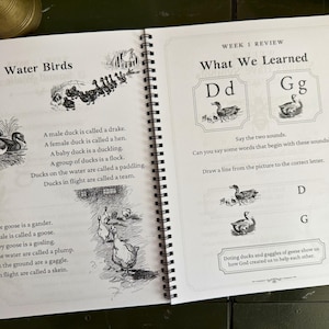 May include: An open spiral-bound educational workbook page featuring black and white illustrations of ducks and geese. The text includes sections titled Water Birds and What We Learned, with definitions for bird terminology and letter-based exercises.