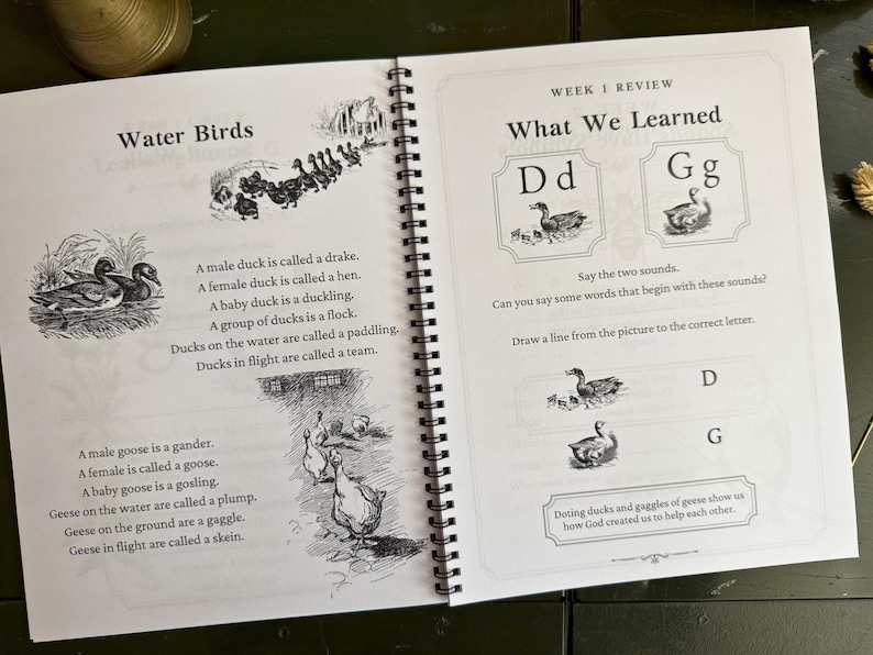 May include: An open spiral-bound educational workbook page featuring black and white illustrations of ducks and geese. The text includes sections titled Water Birds and What We Learned, with definitions for bird terminology and letter-based exercises.