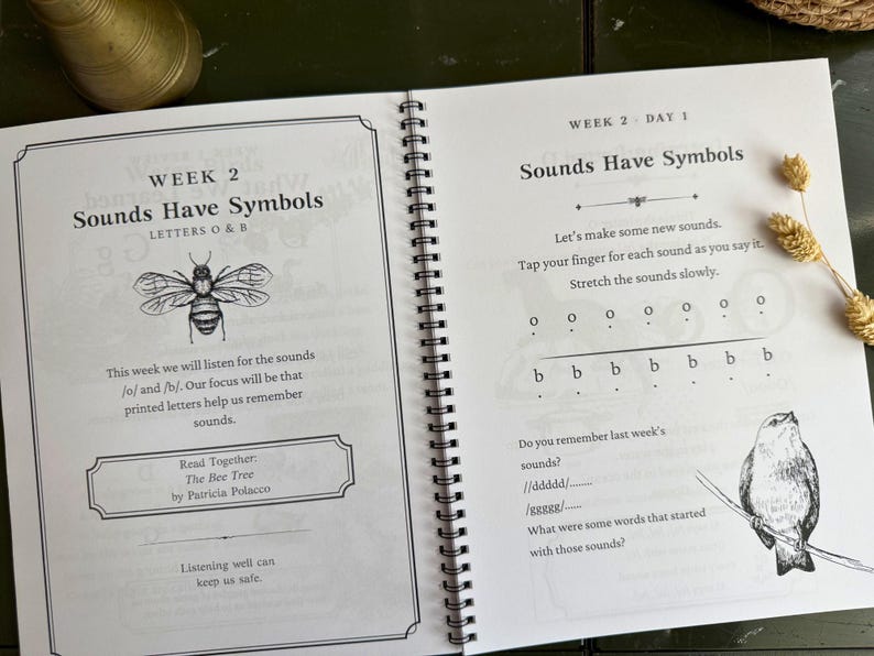 May include: A spiral-bound educational workbook open to Week 2, Day 1, titled Sounds Have Symbols. The pages feature black text, a bee illustration, and a bird illustration. The text includes instructions for phonics practice, letter recognition for O and B, and a reading list for The Bee Tree by Patricia Polacco.