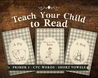 May include: Three children's books with the title "Teach Your Child to Read" on a wooden background. The books feature illustrations of a pig, a boy running, and a bug. The text "Primer 1 • CVC Words • Short Vowels" is also present.