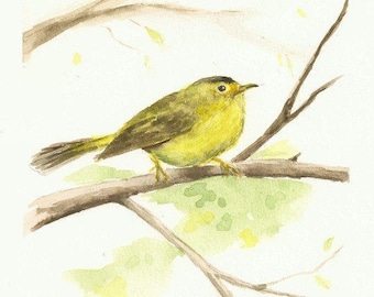 Wilson's Warbler, Print of Watercolor of Beautiful Yellow Song Bird 6"x9"