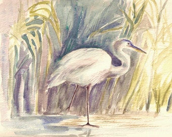 Great Blue Heron Among Reeds, print of watercolor 8"x10"