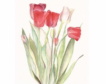 Red Tulips and White, 8" x 10" print of original watercolor