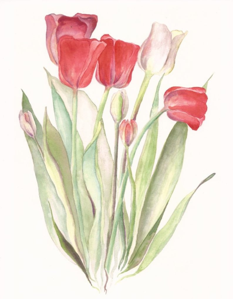 Red Tulips and White 8 X 10 Print of Original | Etsy