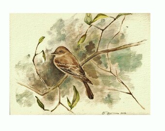 The Flycatcher, Print of Watercolor of a Flycatcher (Bird) 8"x10"