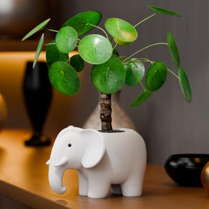 May include: A white elephant-shaped planter holding a green plant with round leaves. The planter has a trunk, ears, and tusks. The plant has a brown stem and is placed on a wooden surface.