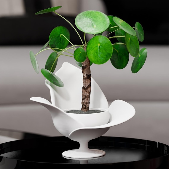 Resin Coated Elegant Bloom Planter | 3D Printed Flower Pot | Sculptural  Botanical Decor
