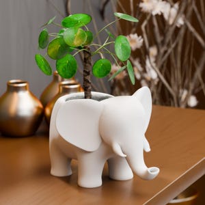 Może przedstawiać: Biała doniczka w kształcie słonia z małą zieloną rośliną o okrągłych liściach. Doniczka ma trąbę, uszy i nogi. Roślina ma brązową łodygę i jest posadzona w szarym materiale. Doniczka stoi na drewnianej powierzchni.