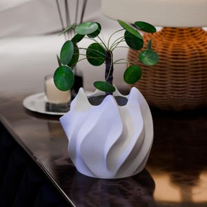Peut inclure: Un pot de fleurs blanc de forme abstraite avec une petite plante verte. La plante a des feuilles rondes et vertes et une tige brun foncé. Le pot est posé sur une surface brun foncé. Une bougie et une lampe sont en arrière-plan.