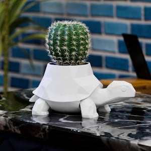 Op de afbeelding: Een witte, geometrische schildpadvormige bloempot met een groene cactus. De pot heeft een modern, hoekig ontwerp en staat op een glanzend zwart-wit oppervlak. Een blauwe bakstenen muur is op de achtergrond.
