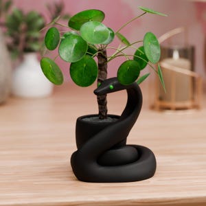 Könnte beinhalten: Ein schwarzer, schlangenförmiger Blumentopf mit einer kleinen grünen Pflanze mit runden Blättern. Die Schlange hat grüne Augen und ist um den Topf gewickelt. Die Pflanze hat einen braunen Stiel und steht in einem schwarzen Topf.