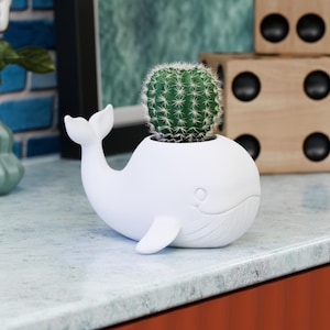 Adorable maceta de ballena recubierta de resina / Maceta con vida marina sonriente / Decoración suculenta impresa en 3D