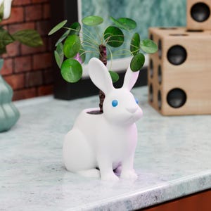 Puede incluir: Una maceta de cerámica blanca con forma de conejo y ojos azules, que contiene una pequeña planta verde. El conejo está sobre una superficie clara. La planta tiene hojas verdes redondas y un tallo marrón. El objeto es decorativo.