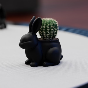 Puede incluir: Un macetero de cerámica negro con forma de conejo que sostiene un pequeño cactus verde. El conejo está sentado con las orejas erguidas. El cactus tiene muchas espinas pequeñas.