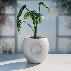 Abstract Loop Planter | Modern Sculptural Plant Pot | 3D Printed Minimalist Decor | Black & White