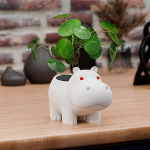 May include: A white hippo-shaped planter with red eyes, holding a green plant with round leaves. The planter is on a wooden surface. The background includes a brick wall and other decorative items.