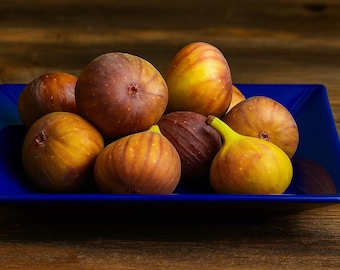 100 Hardy Chicago Fig Tree Seeds, Cold Tolerant Variety, Sweet Purple Figs, Edible Fruit Plant, Perennial Tree, Non-GMO