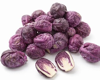 500 Redarling Brussels Sprouts Seeds for Planting - Purple Brussels Sprout Variety, Cold Hardy Vegetable