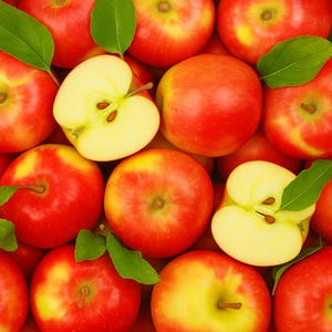 25 Red Delicious Apple Seeds, Sweet Heirloom Fruit Tree, Grow Your Own Apples, Cold Hardy, Non-GMO, Easy to Germinate