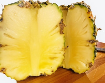 15 Sugarloaf Pineapple Seeds, Rare Sweet Pineapple Variety, Grow Tropical Fruit Indoors or Outdoors