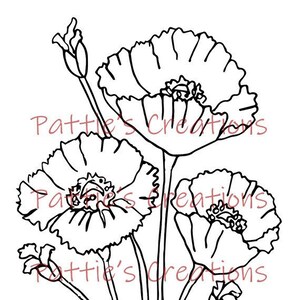 Poppy Flowers