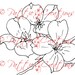 DOGWOOD BRANCH