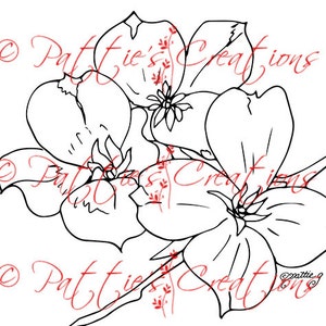 DOGWOOD BRANCH