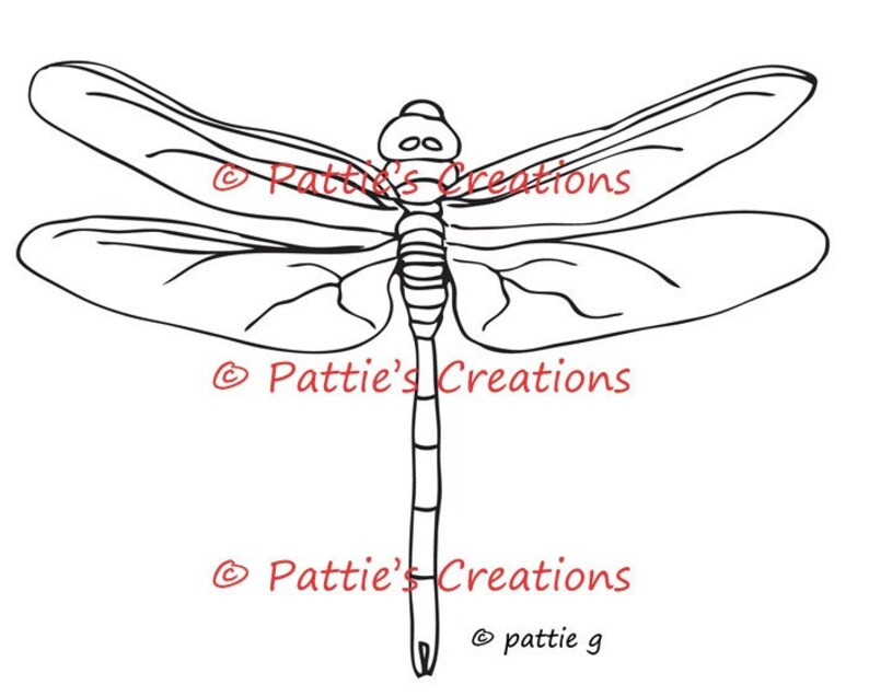 Dragonfly 1 image 1
