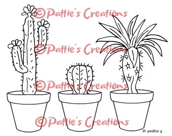 Three Cactus in Pots