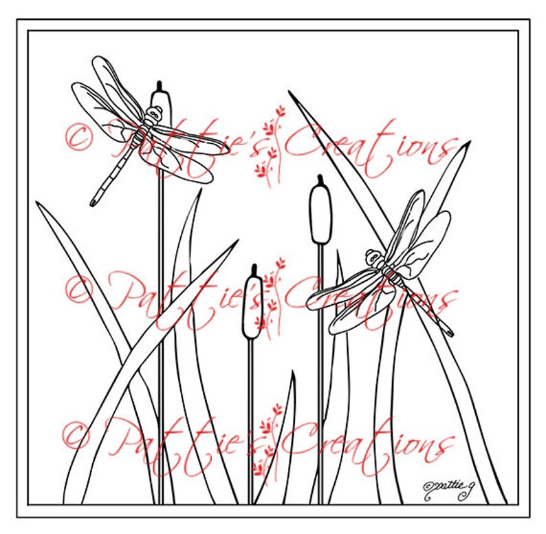 Dragonflies Fly image 1