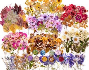 May include: A collection of dried flowers and leaves in various colors, including pink, purple, yellow, and red. The arrangement includes different types of flowers and foliage, with several wax seals at the bottom.