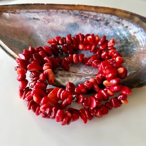May include: A strand of red coral beads in a seashell. The beads are irregular in shape and size, and they are strung together on a silver cord.