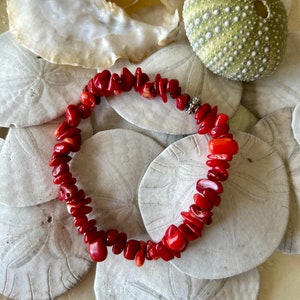 May include: A red coral bracelet with silver accents, displayed on a bed of white sand dollars and a green sea urchin.