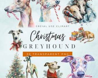 May include: A collection of watercolour clipart featuring greyhounds in Christmas scenes. The image includes greyhounds with candy canes, wrapped in blankets, and near a Christmas tree. Text reads "Christmas Greyhound".