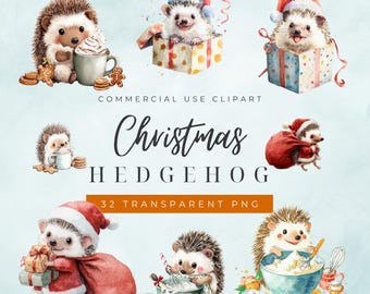 Clipart di riccio di Natale ad acquerello / 32 illustrazioni PNG kawaii (download digitale)