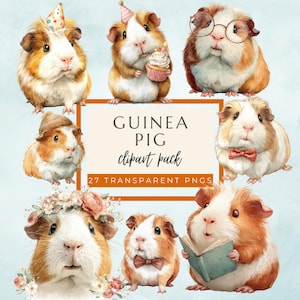 Guinea Pig Clipart, 27 Watercolor Chibi Guinea Pigs, Cute Pet Animal PNG, Planner Sticker Pack, Instant Download