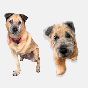 Custom Stuffed Dog Plush, Personalized Pet Plush from Photo, Handmade Pet Replica,Pet Memorial Gift, Custom Dog Keepsake,Realistic Dog Plush