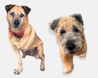 Custom Stuffed Dog Plush, Personalized Pet Replica, Handmade Keepsake