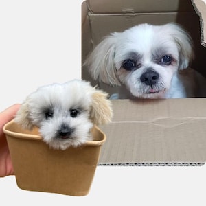 Op maat gemaakte knuffelhond, op maat gemaakte knuffel, aangepaste hond pluche, aangepaste huisdier pluche, gepersonaliseerd hondencadeau, huisdier gedenkteken pluche, hondenreplica