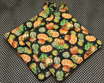 Potholder:  Harvest Pumpkins and Gourds